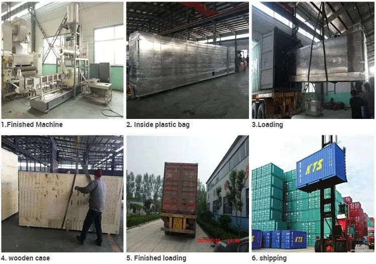 Animal Aquarium Pet Dog Cat Floating Fish Feed Pellet Production Machine Snacks Food Processing Making Extrusion Line