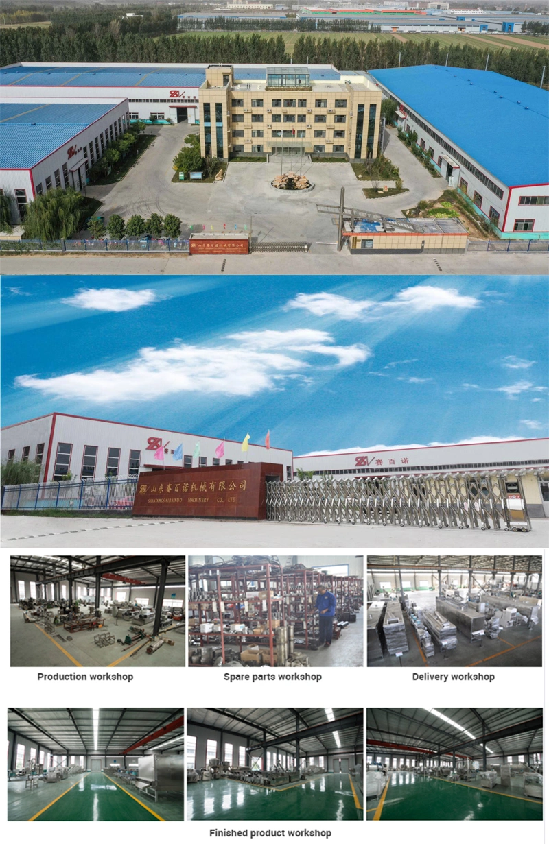 Animal Aquarium Pet Dog Cat Floating Fish Feed Pellet Production Machine Snacks Food Processing Making Extrusion Line